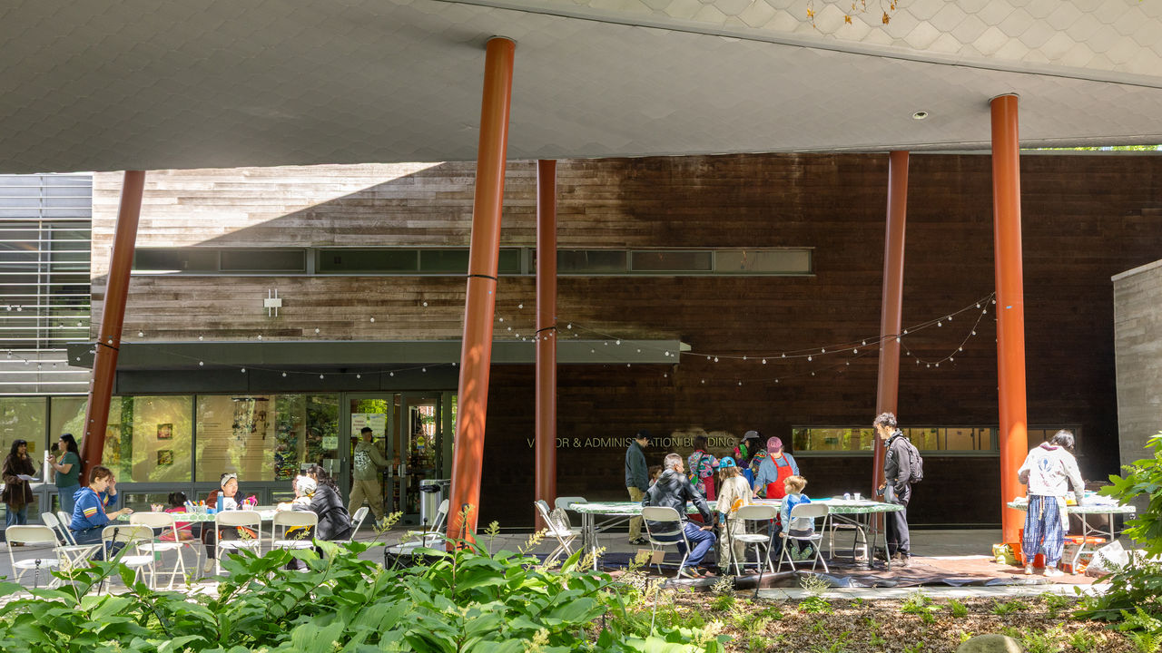 Overall wide shot of paint day at Queens Botanical Garden